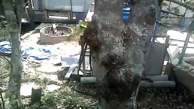 VID 20140825 140018