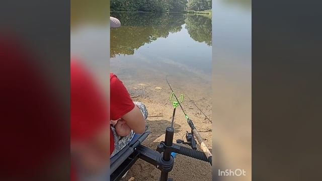 Деревенский фидер, первые забросы юного фидериста 😎🎣🎯. "Соловей 🔑ключ "