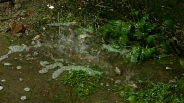 1998 год. Тюмень. Июльский дождь