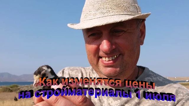 Как изменятся цены на стройматериалы 1 июля
