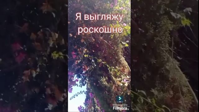 #мотивашкаНаУтро