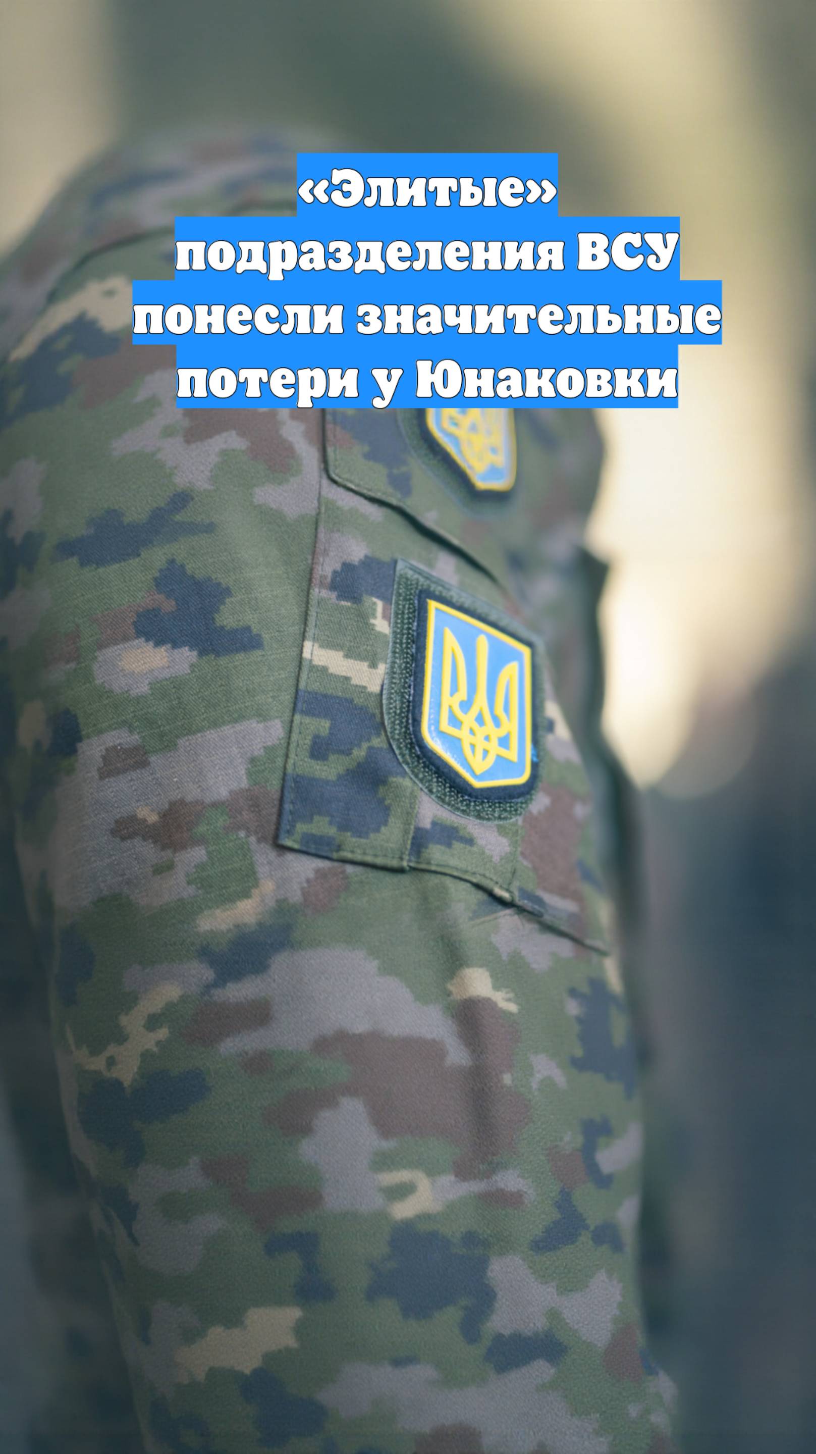 «Элитые» подразделения ВСУ понесли значительные потери у Юнаковки
