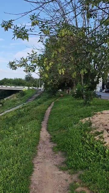 г.Тверь 28.06.25 ⏰7:00АМ, +14° День изобретателя и рационализатора в России.