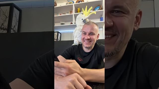 Хотите завести Какаду - смотрите до конца! @какаду @cockatoo @birds @parrot _HD