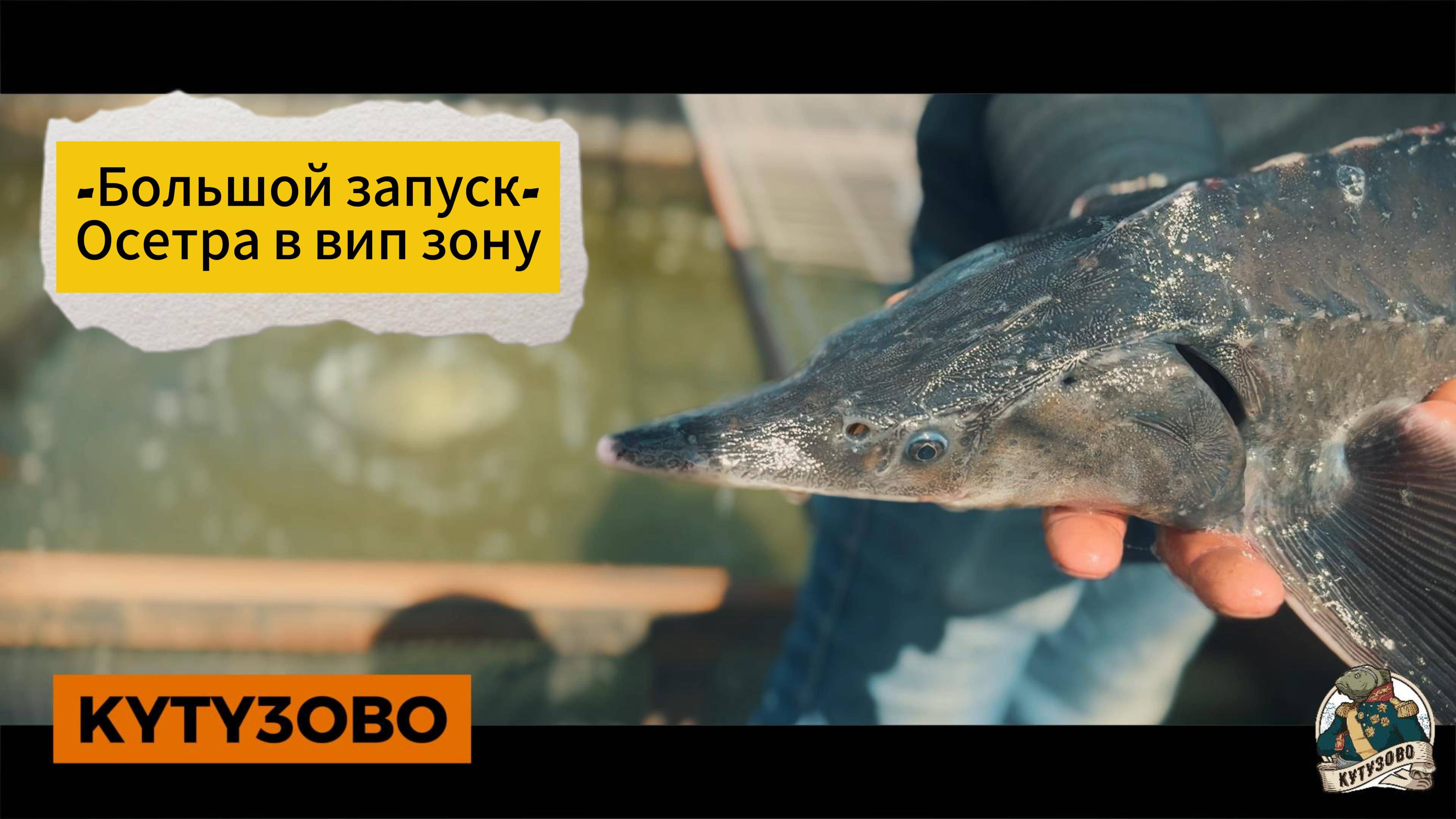 28.06.25 запуск осетра в вип зону