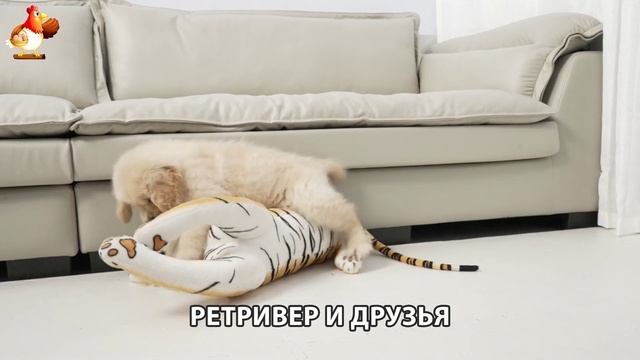 Золотистый ретривер и его друзья милые питомцы 🐕 выпуск (139)