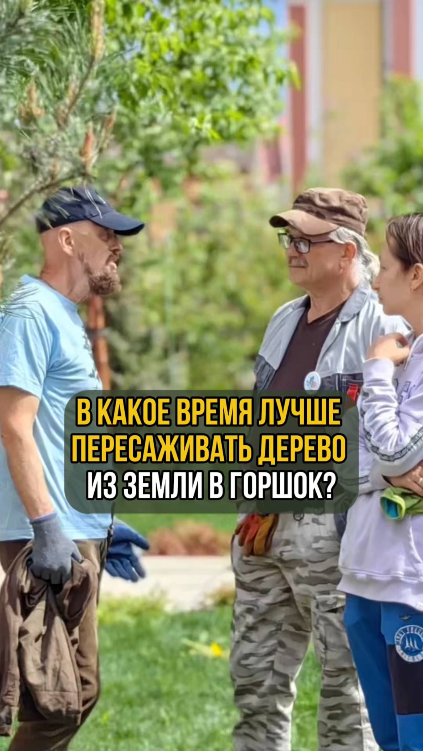 В какое время лучше всего пересаживать дерево из земли в горшок?