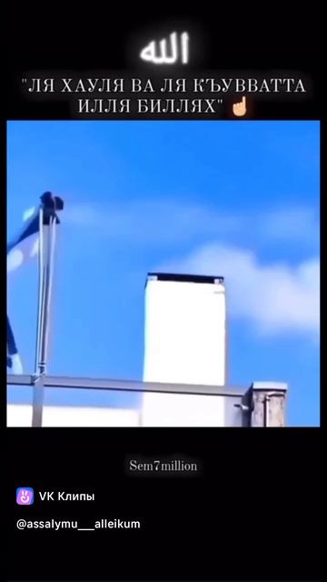 СВОБОДА ПАЛЕСТИНЕ