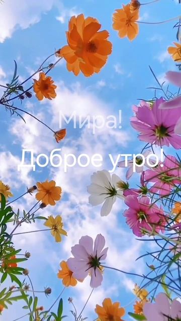 Доброе утро!