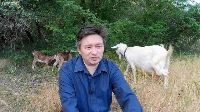 Богу нужны посты?