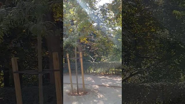 Парк в Барселоне