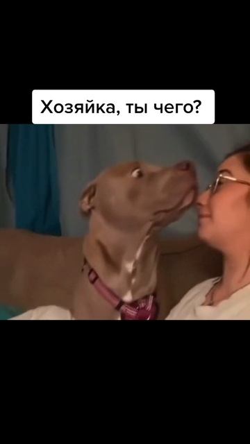 Смех продлевает жизнь 😆