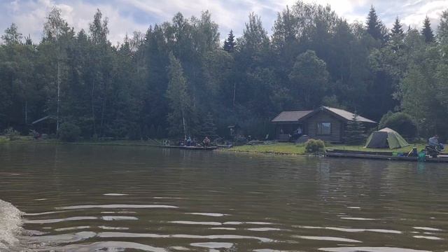 Запуск осетра