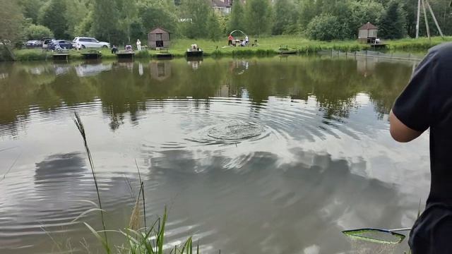 Светлые Горы Карп2 28.06.2025г.