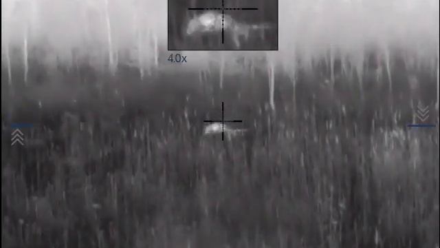 1/1 Один волк добыт, один ушел.