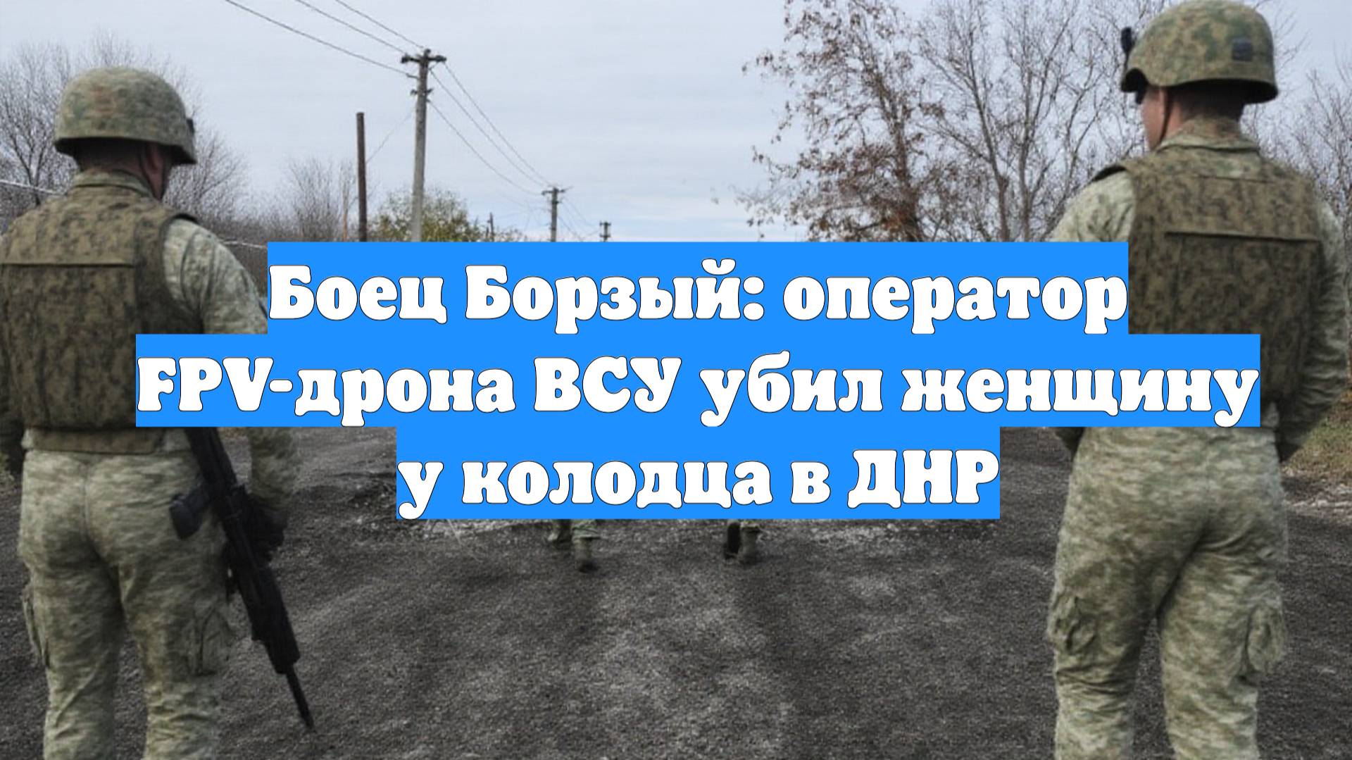 Боец Борзый: оператор FPV-дрона ВСУ убил женщину у колодца в ДНР