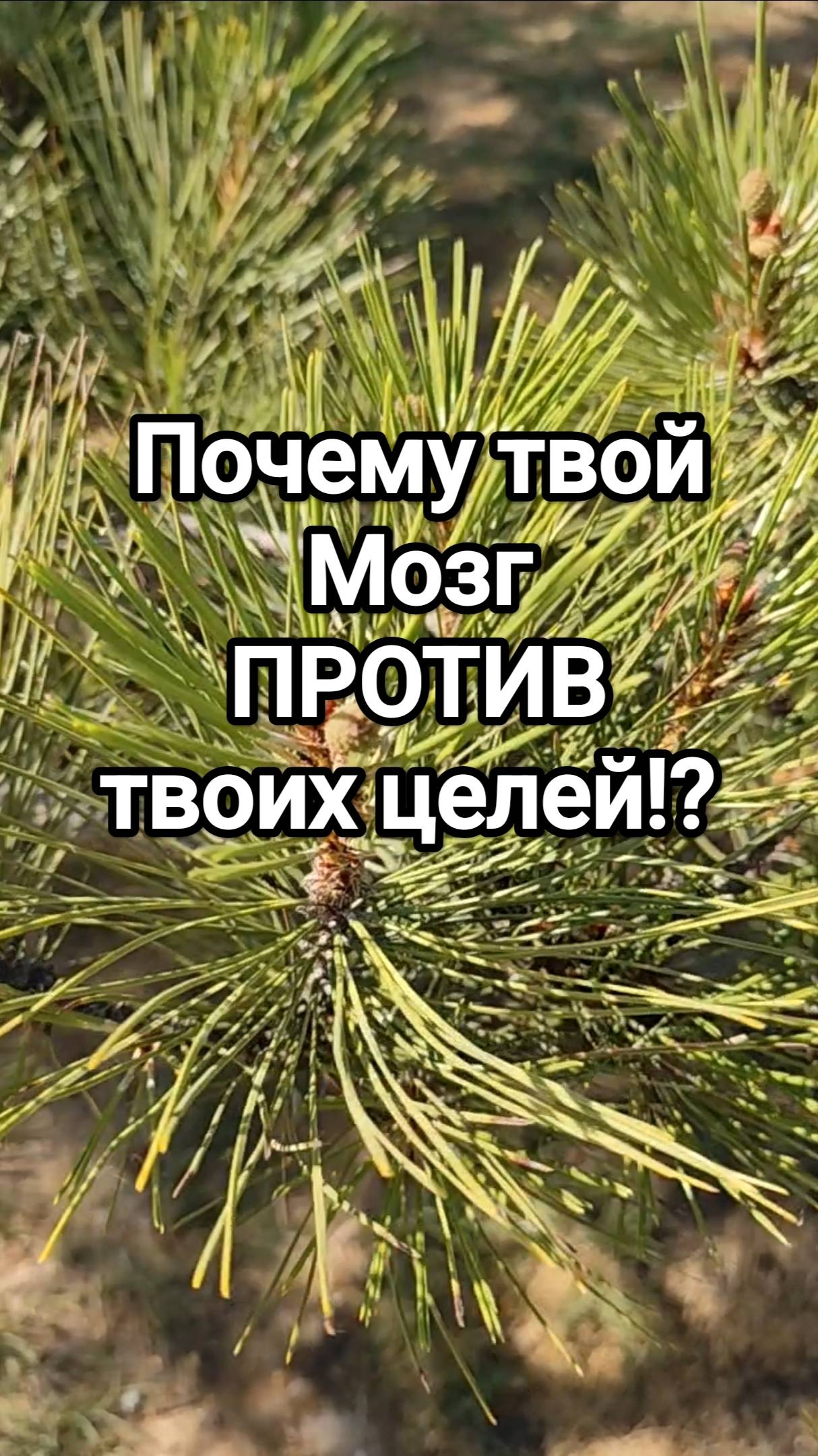 Почему твой мозг саботирует твои цели