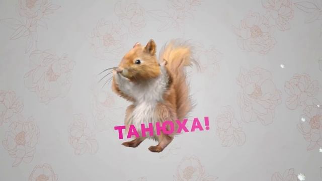Белка Днюха