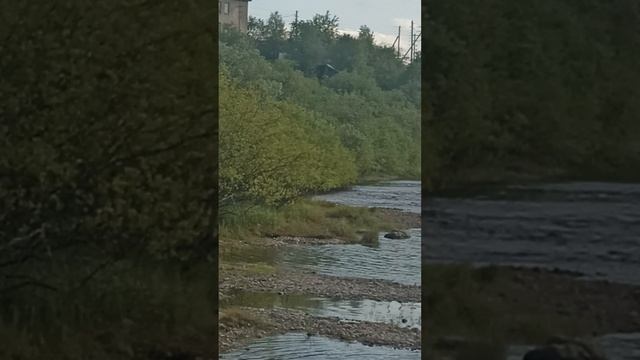 1000100524.mp4
