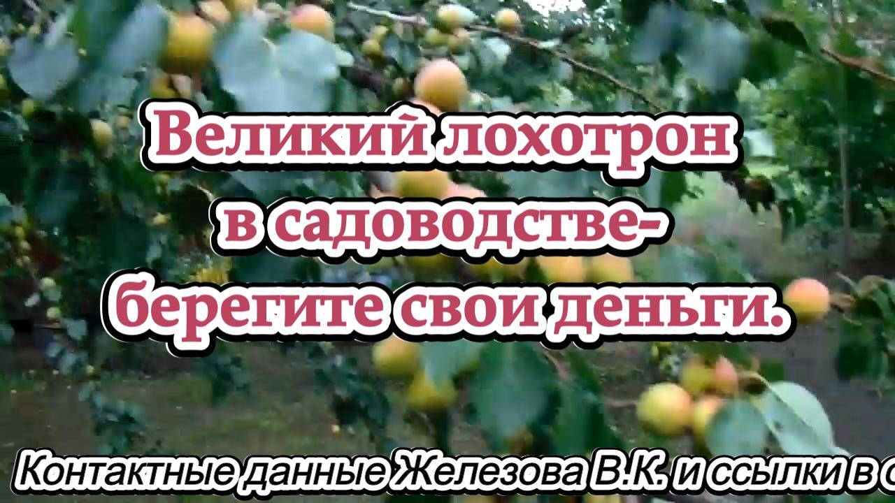 Великий лохотрон в садоводстве- берегите свои деньги.