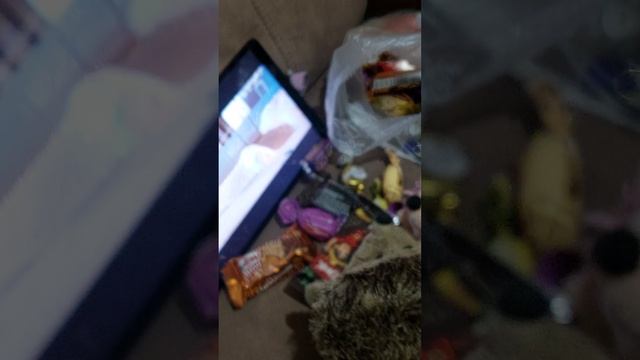 свидание ежиков