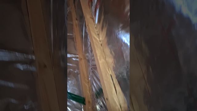 1000027523.mp4 (Собака наблюдает за устройством плоскости каркаса в доме А-фрейм)