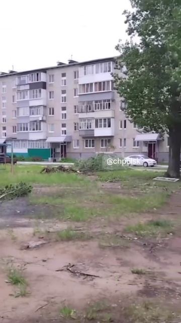 Во дворе на Оренбургской, 42 ураганный ветер повалил несколько больших деревьев