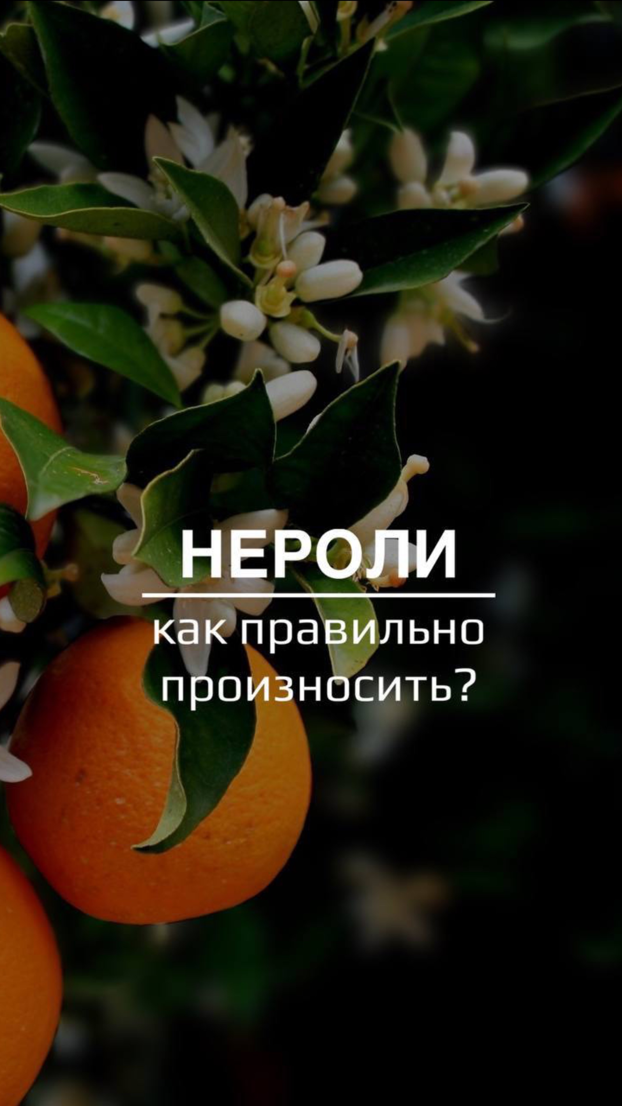 Давным-давно, когда мир был молод, и боги еще ходили по земле, зародился аромат…