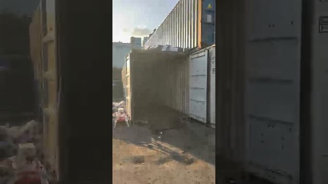 1000062472.mp4