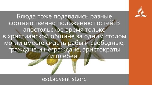 28 июня 2025. Один хлеб и одно тело. Под сенью благодати | Адвентисты
