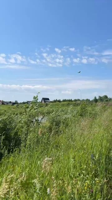 Красота — в глазах смотрящего😍