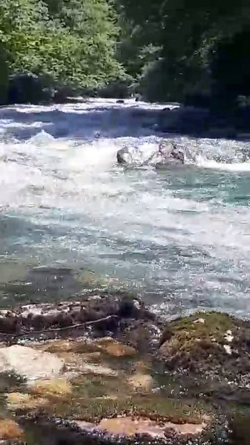 1000013046.mp4