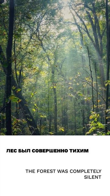Тихий