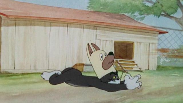 Мультик Том и Джерри: «В собачьей шкуре» (16 серия), смотреть без рекламы и в хорошем качестве