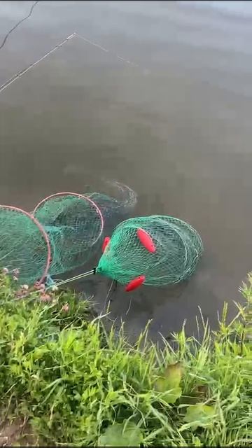 28-06-2025