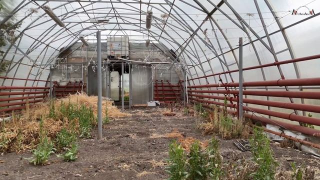 Продаётся готовый бизнес - оранжерея из 14 теплиц в посёлке Уфимка