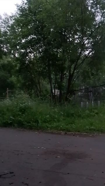 Сыктывкар, 4 утра, стадион шк#16