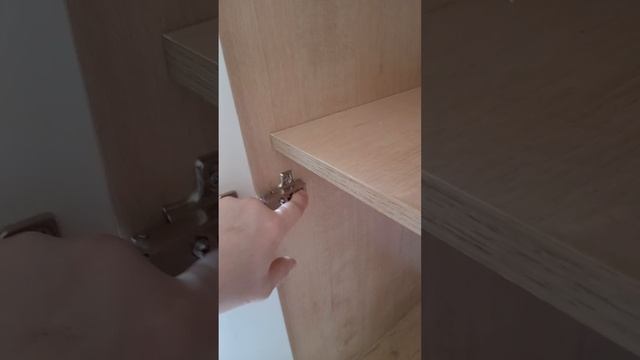 1000012678.mp4