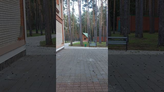 Санаторий Карагай. 2025г.