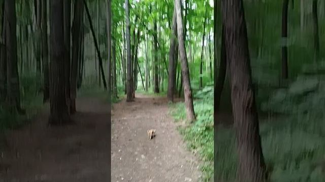 Шикарное место, дивана только не хватает😁