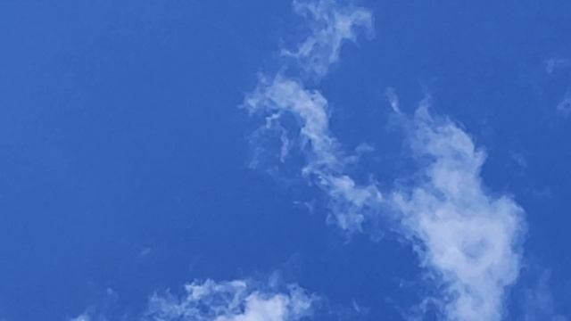 28.06.2025 г Ярмарка Голубиный Рай Садовод.