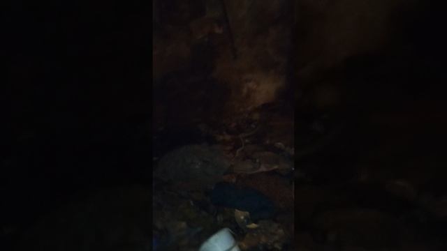 советский старый подвал