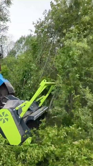 Шатал он ваши леса.. Обычный Беларус с топ мульчером Niubo 89261385927 #ротоватор #мульчер #farming