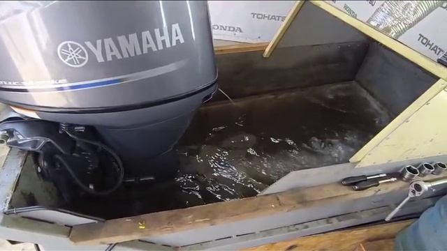 Запуск двигателя Yamaha F50 EFI