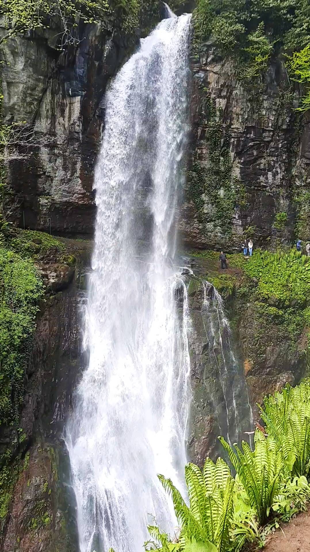 Абхазия. Водопад Великан
