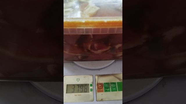#Как замариновать вкуснейший шашлык#