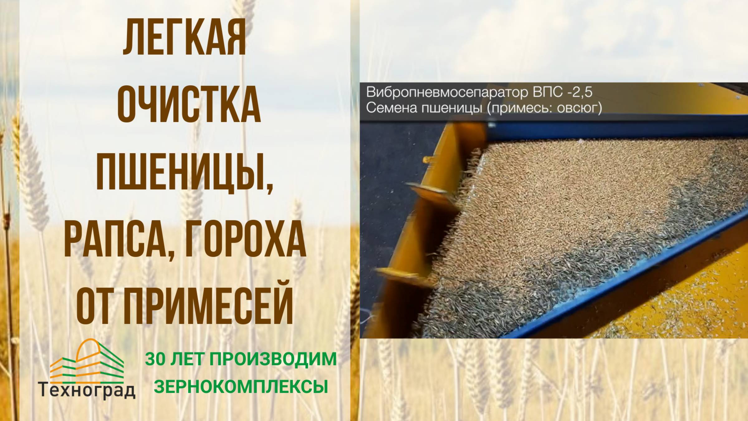 Легкая  очистка пшеницы, рапса, гороха от примесей.