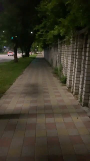 Ночь. Город #ночь #город #шумгорода #лягушки #песнилягушек #night #city #frogs #frogsongs #labubu