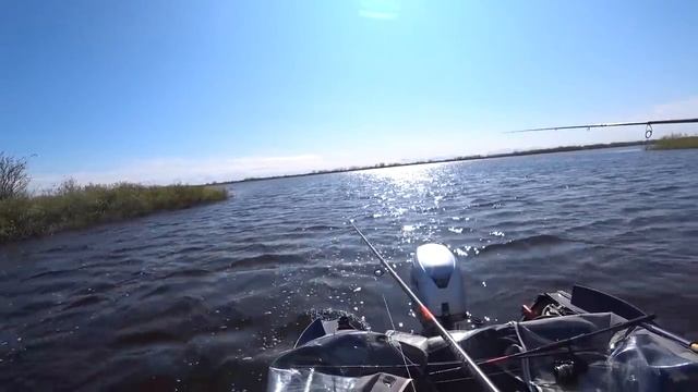 ОН ЗНАЕТ ГДЕ ЛОВИТЬ!! ОКУНИ МУТАНТЫ ПО БОЛЬШОЙ ВОДЕ!!! ЛЕТНЯЯ РЫБАЛКА!!