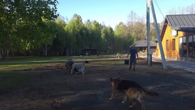 Черничники. БРОСИЛИ ДОМ В ГОРОДЕ, ПЕРЕСЕЛИЛИСЬ В ЛЕС и отстроили УСАДЬБУ. Конец ещё одного проекта.